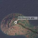 McGoogins site